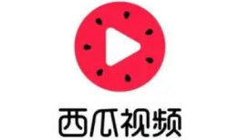 西瓜视频官方,打造短视频新生态，引领潮流娱乐新风尚